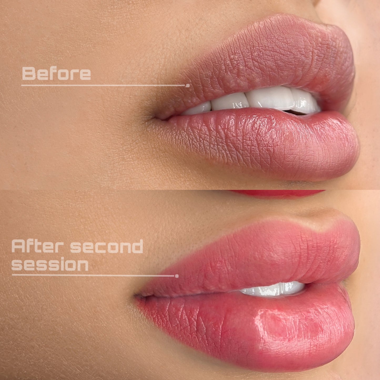 BOOK YOUR APPOINTMENT - HDS